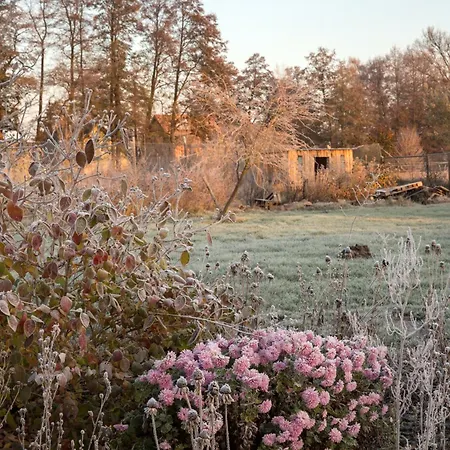 Alte Flachsfarm Cottbus